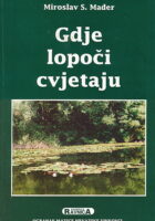 Gdje lopoči cvjetaju
