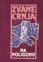 Na poligonu