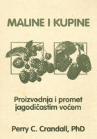 Maline i kupine - Proizvodnja i promet jagodičastim voćem