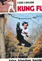 Kung fu Tajne kineskog karatea