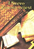 Zenova svijest