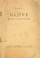 Gljive - meso naših šuma