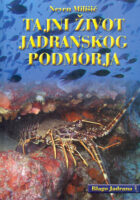 Tajni život jadranskog podmorja