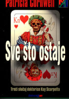 Sve što ostaje