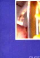 Drugost, časopis za kulturalne studije, 2/2011