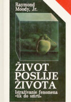 Život poslije života