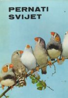 Pernati svijet