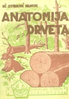 Anatomija drveta