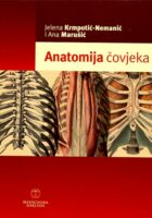 Anatomija čovjeka