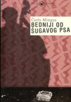 Bedniji od šugavog psa