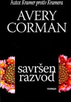 Savršen razvod