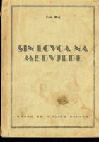 Sin lovca na medvjede