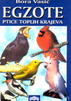 Egzote: ptice toplih krajeva