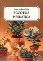 Moje sobno bilje, Egzotika mesnatica, Sukulenti