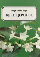 Moje sobno bilje: Bijele ljepotice