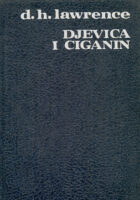 Djevica i ciganin