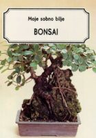 Moje sobno bilje, Bonsai