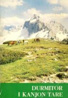Durmitor i kanjon Tare: vodič