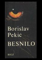 Besnilo (žanr-roman)