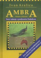 Ambra