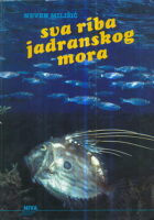 Sva riba Jadranskog mora