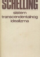 Sistem transcendentalnog idealizma