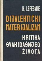 Dijalektički materijalizam - Kritika svakidašnjeg života