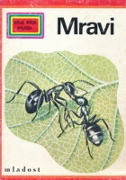 Mravi