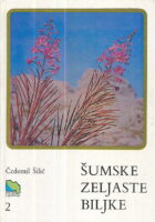 Šumske zeljaste biljke