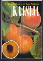 Kajsija