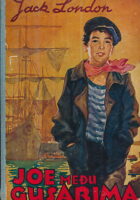 Joe među gusarima