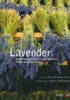 Lavander