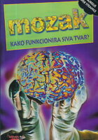 Mozak - kako funkcionira siva tvar?