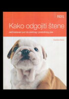Kako odgojiti štene