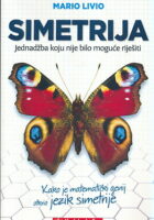 Simetrija: Jednadžba koju nije bilo moguće riješiti
