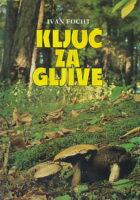 Ključ za gljive