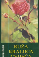 Ruža kraljica cvijeća