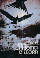 Momci iz zbora