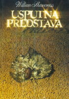 Usputna predstava