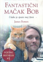 Fantastični mačak Bob