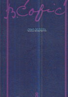 Osma ofanziva