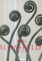 Karl Blossfeldt: Photographs 1865-1932