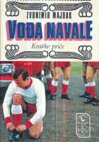 Vođa navale