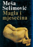 Magla i mjesečina
