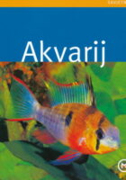 Akvarij