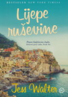 Lijepe ruševine