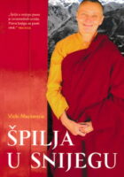 Špilja u snijegu