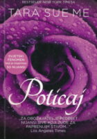 Poticaj
