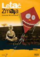 Letač zmaja