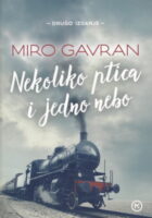 Nekoliko ptica i jedno nebo